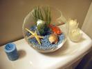 bathroom fishbowl