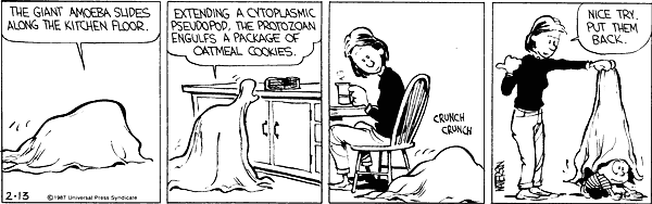 Calvin and Hobbes