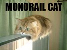 MonorailCat
