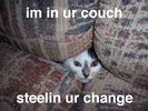 couch