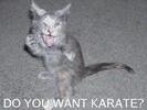 karate