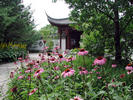 Chinese Garden gate