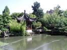 Chinese Garden 5