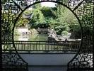 Chinese Garden 7