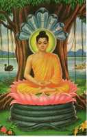 Siddhartha Gautama